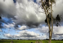 问鼎国际:又双叕德比!三冠王大梦迎首个大考,多线作战且看国米破局!.